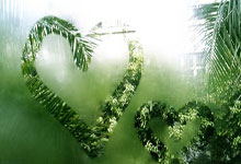 波马尔尼克球队赢得喜庆胜利，掀起热潮！